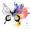 tatuagem-temporária-borboleta