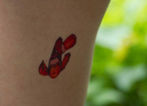 tatuagem-temporária-peixe